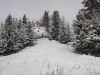 IMG_20201226_084458