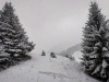 IMG_20201226_085306