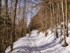 IMG_20190209_093555