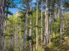 IMG_20200426_142048