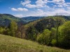 IMG_20200426_142059