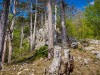 IMG_20200426_143226