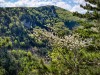 IMG_20200426_143830