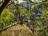 IMG_20200426_143948