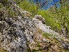 IMG_20200426_145416