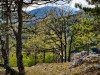IMG_20200426_150731