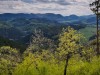 IMG_20200426_150856