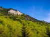 IMG_20200426_173833