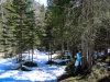 P1060637.jpg