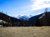 P1060648.jpg