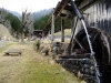 P1060656.jpg