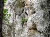 P1060960