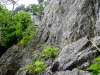 P1060963