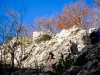 P1070649