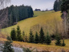IMG_20230308_095904
