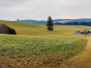 IMG_20230308_100901