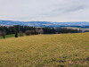 IMG_20230308_105432