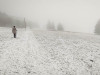 IMG_20230307_114007