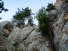P1070283